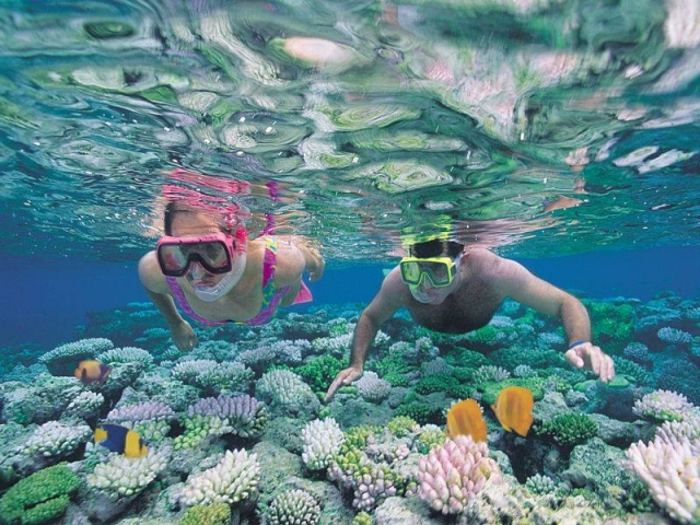 Snorkel en arrecifes